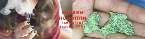 бошки Бронницы