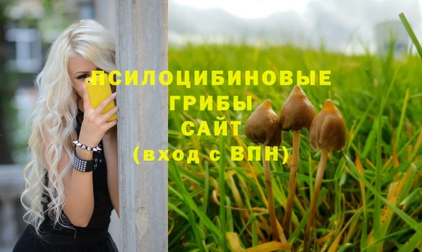 бошки Бронницы