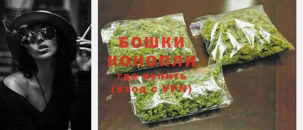 бошки Бронницы