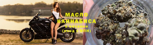 бошки Бронницы
