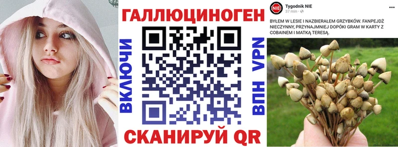 как найти закладки  kraken зеркало  Псилоцибиновые грибы мицелий  Донской 